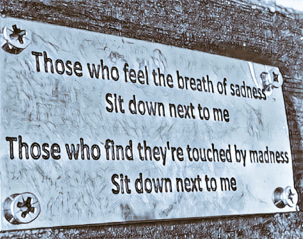 DavidN7SR3's tweet image. This is going on my memorial park seat down on the Riverside #daftstuff #funny @ThisisDurham