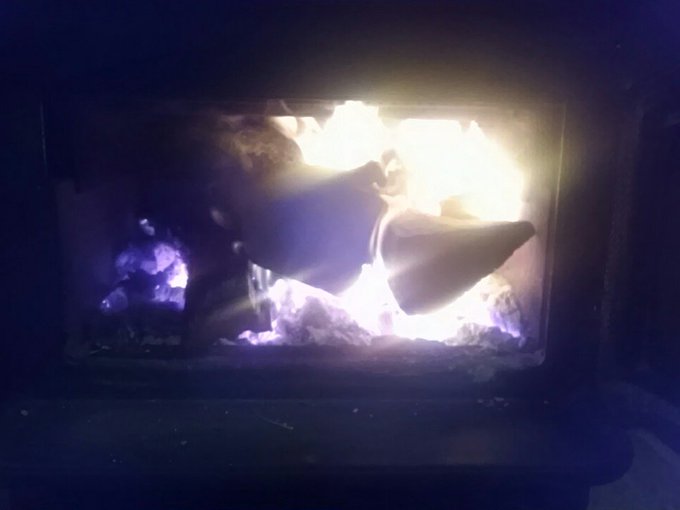 Have a cozy fire going! Snuggle with me! https://t.co/1wPkYgVu7n