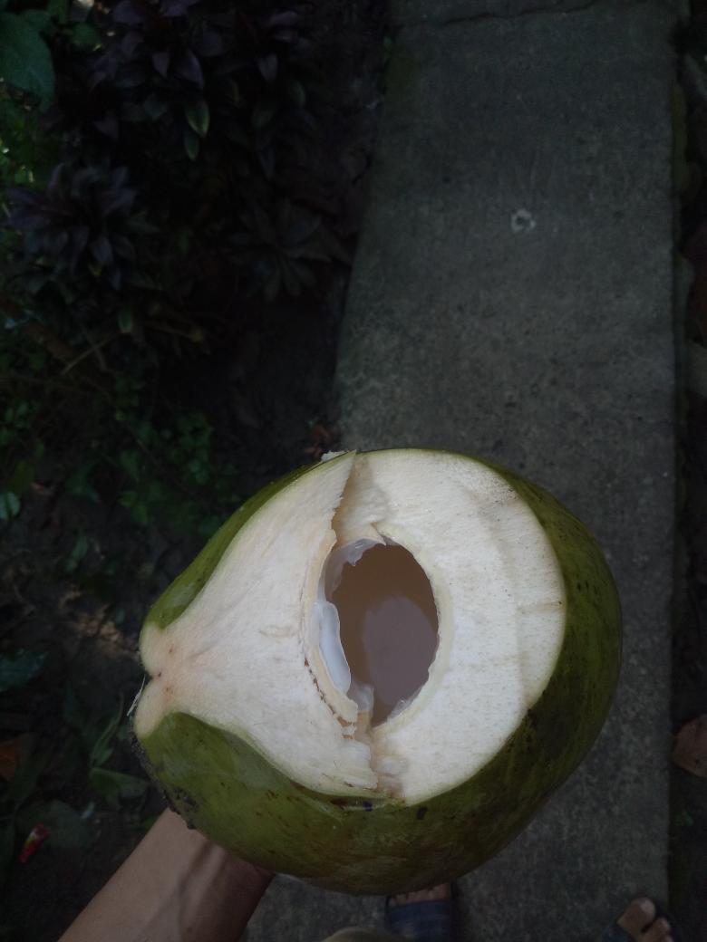 marvsvillegas's tweet image. Good morning 
#freshbuko
#buhayprobinsya