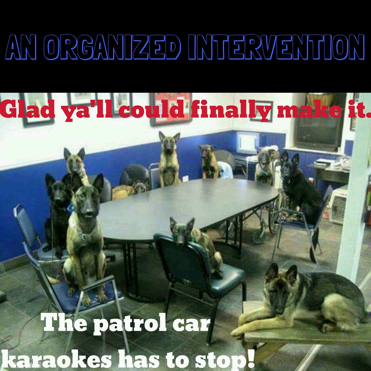 SupportiVets1's tweet photo. #dailypost #sweetmalinois #malinois #instamalinois #malinoislove #malinoispics #funnymalinois
#K9strong #K9officer #K9unit #K9partner #K9love #K9buddy #K9skickbutt #SupportiVets https://t.co/Oh7HgAqC0K