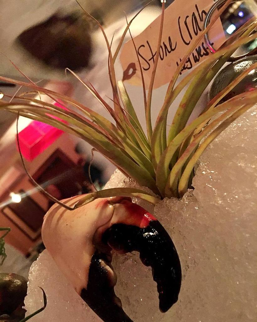 michaelsgenuine's tweet photo. π¦ theyβve been in short supply and high demand πββοΈ the #rawbar is stocked for NYE weekend and ready to get cracking! π¦ππΌββοΈ#MGFDdinner #stonecrabs #locallysourced #floridakeys https://t.co/8YFsfgkq4G