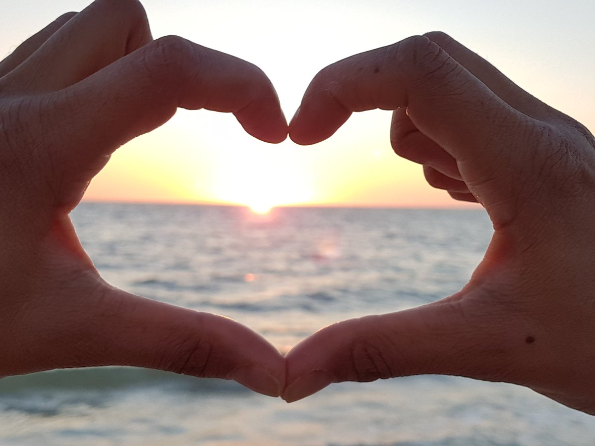 Madie Ager-Warner tweet media