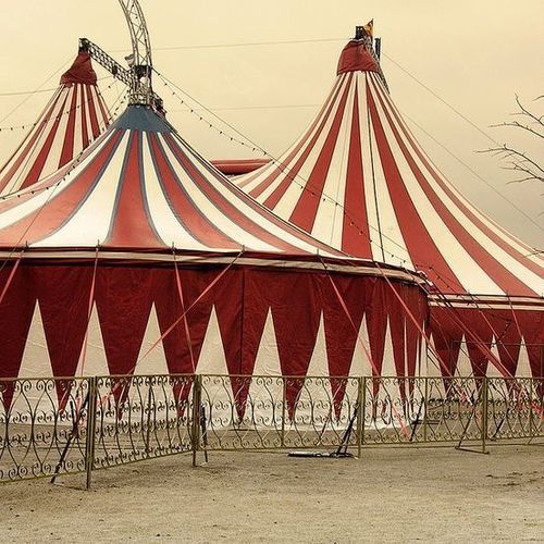 tmotheestuartx's tweet photo. Philippe Clark [27]
Joven trapecista homosexual que huyo de casa hasta encontrar el gran circo ''The Greatest Showman'' su nuevo hogar.
Bipolar, Corazón roto pero aun un romántico sin limites.
Amante de estar en el aire. Fumador en tiempo libre.
RT!
#Freerol https://t.co/DjxarDIV6T