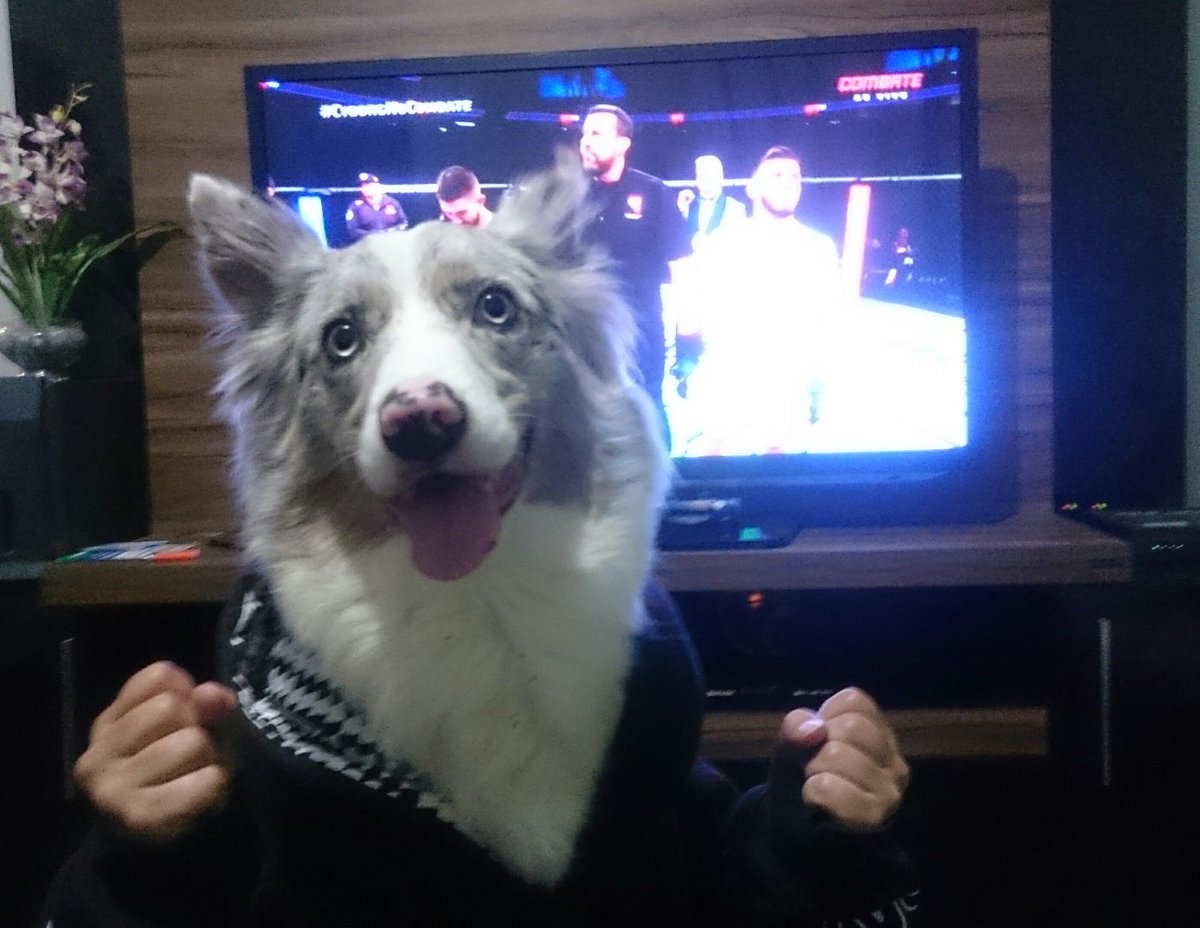 Vald3nilson's tweet photo. filha só assistindo tb 😂
#CyborgNoCombate #ufc #UFCnoCombate https://t.co/0qYqsHag0m