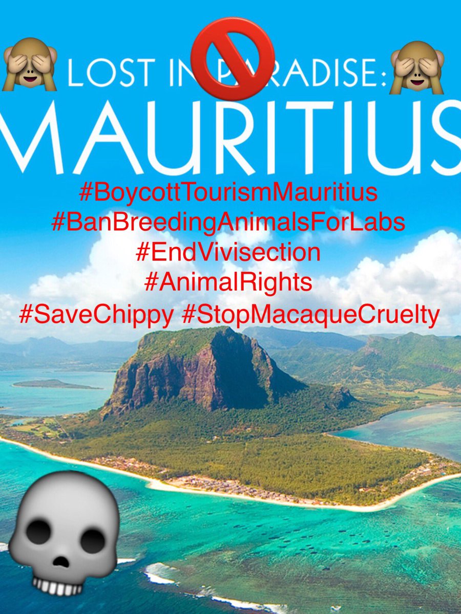 chitayat_PO's tweet photo. 🙏🏾🐒keep supporting to #StopLabTestingAnimals #StopCullingMacaques #Singapore #Mauritius #Thailand #StopAnimalSideshows #Vegans #Wildlife #AnimalsAreSentientBeings 🙈🙏🏾🐒 https://t.co/aOzGamlnro