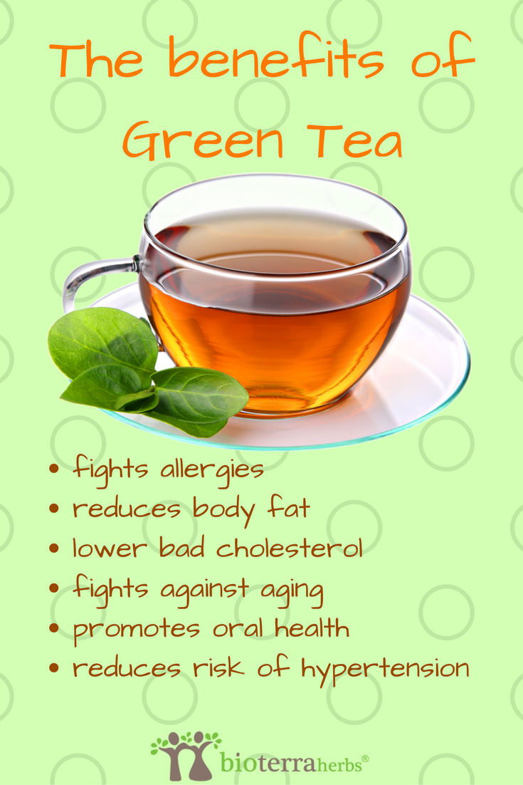 BioterraHerbs's tweet image. The benefits of Green Tea! #greentea #benefitsofgreentea #benefitsoftea #healthytea #tearecipe #tearecipes #sleepytea #teatime