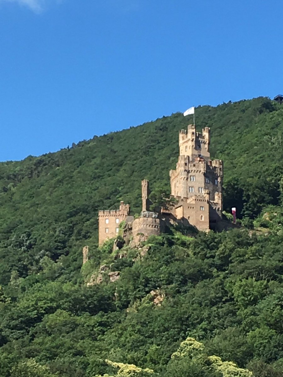 GoLiveItTravel's tweet photo. Really enjoyed the Rhine River cruise on @VikingRiver. Some of the castles you'll see. #travel #vacation #useanagent https://t.co/eNC70WiTns