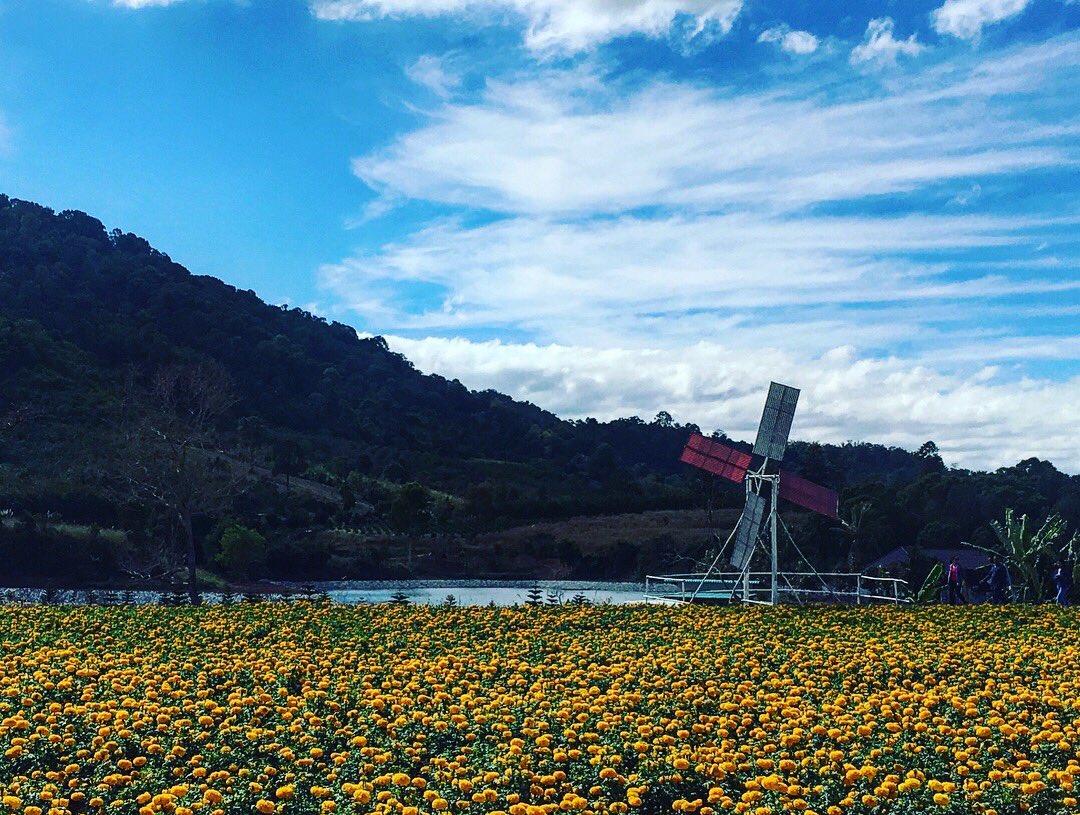 Crayon19966's tweet photo. Country road https://t.co/EfQtBIq5G0