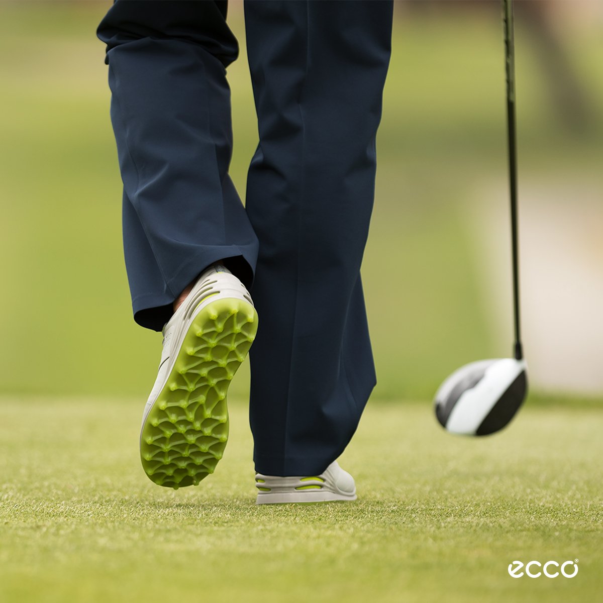ECCOArabia tweet media