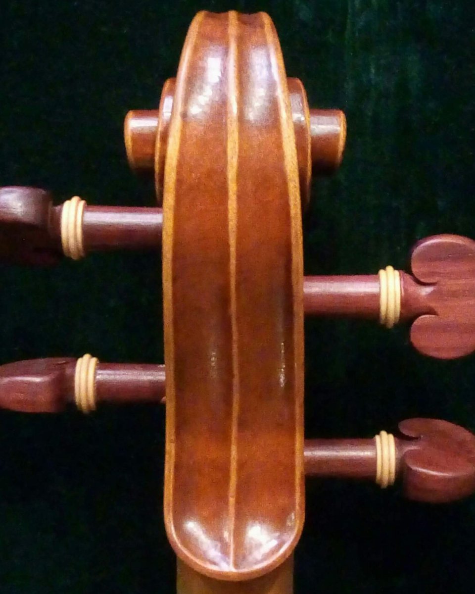 Gianluca Poli Violin#excellenceinBologna