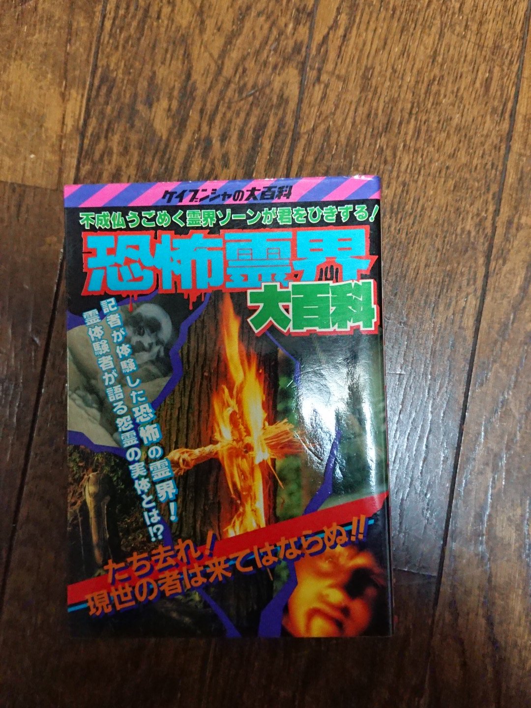 独創的 恐怖霊界大百科 ケイブンシャ 文学・小説