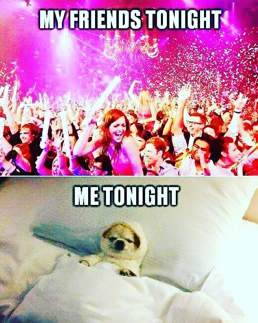 Leaftopia420's tweet photo. #netflixandchill

#happynewyear2017 #HappyNewYear2018 
#happynewyear #happynewyears #dog #dogs #newyearsday #MerryChristmas #Christmas 
#HappyHolidays #happyholiday #christmasdog #Christmasdogs

#Leaftopia #411on420 #MzCannabiz #marijuana #cannabis #weed #weedstagram #cannagram https://t.co/nMAlTY2exs