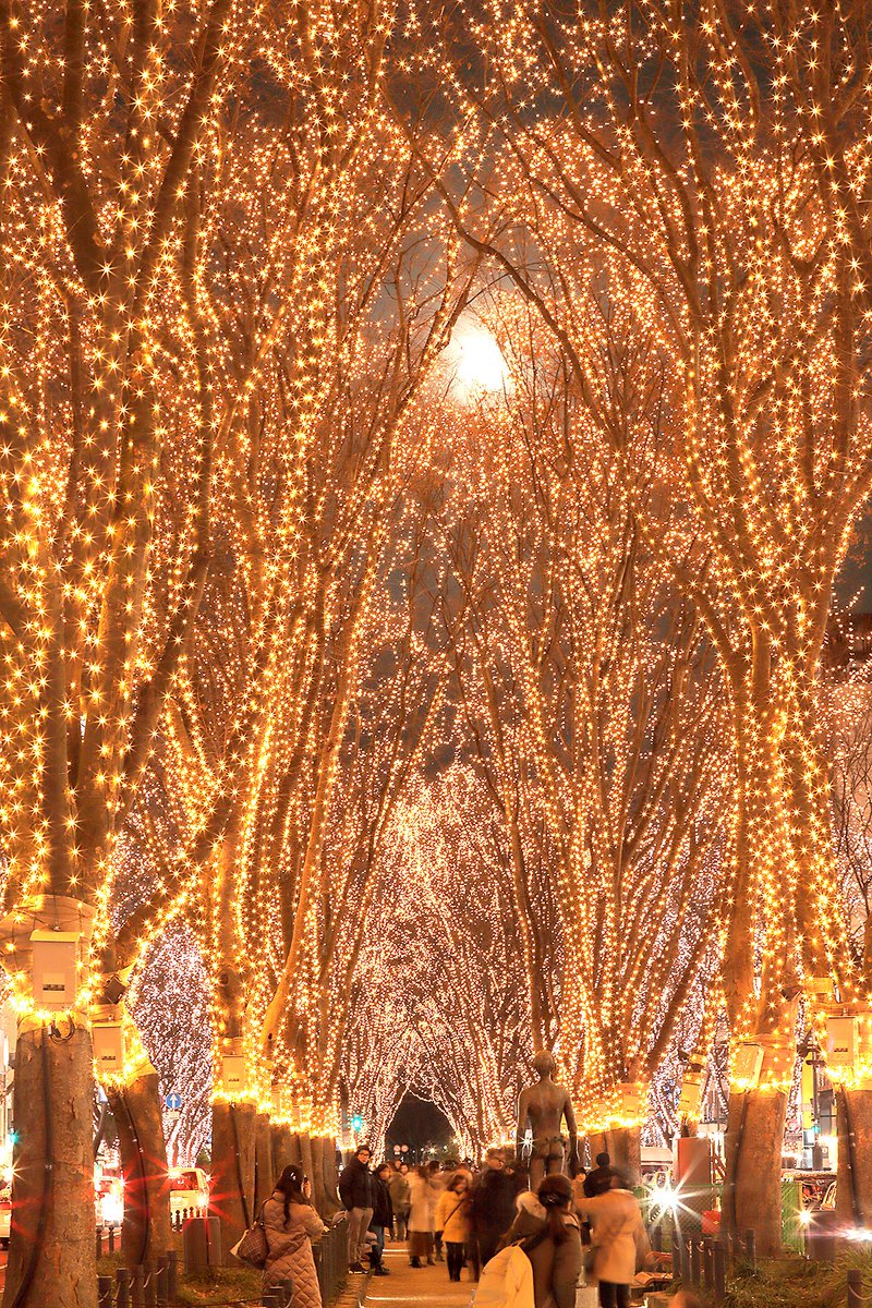 Sendai光のページェント Sur Twitter Sendai光のページェントはいよいよ本日最終日 写真コンクールインスタ部門開催中 応募は Sendai Pageantをフォロー後 Hikapephoto17を付けて投稿 Sendai光のページェント 光のページェント ページェント