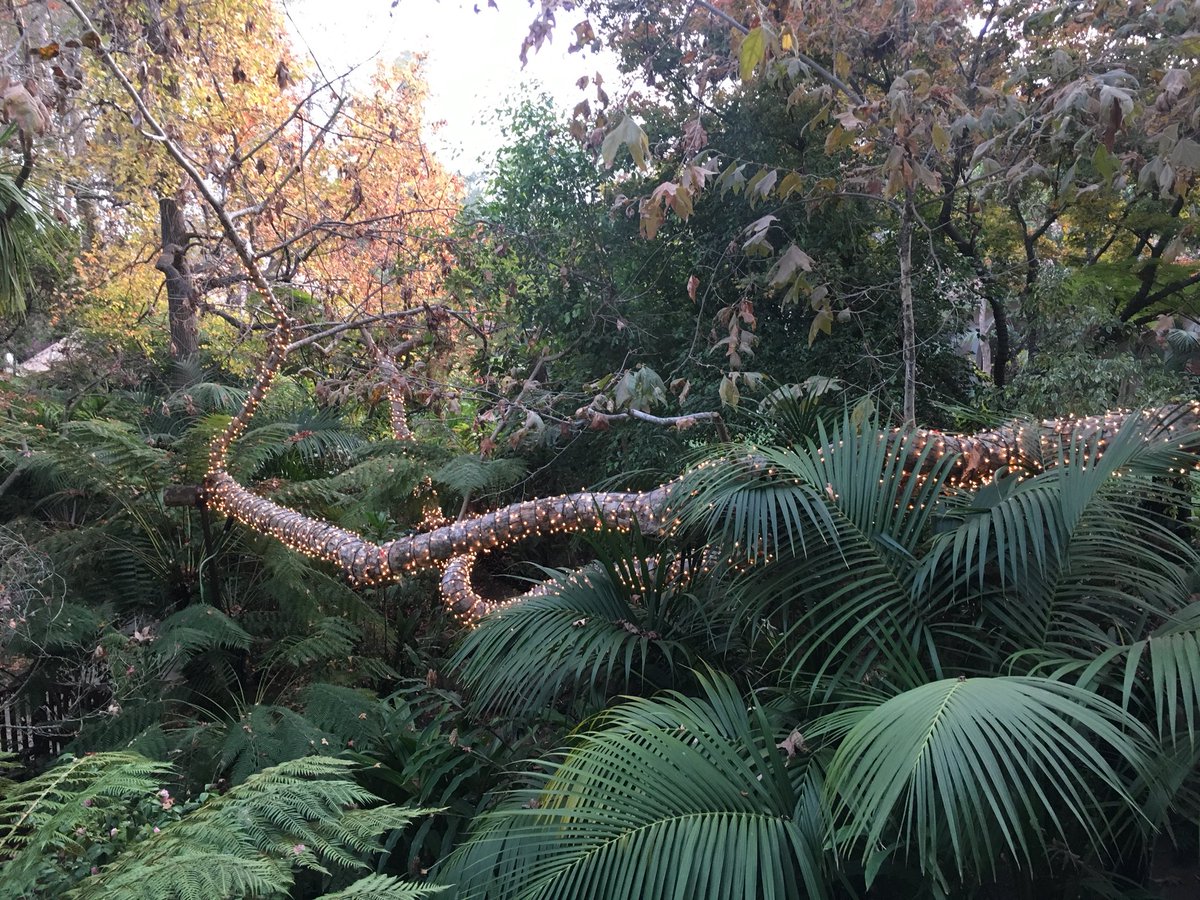 High-Tea at <a href="/HotelBelAir/">Hotel Bel-Air</a> amazing !!!