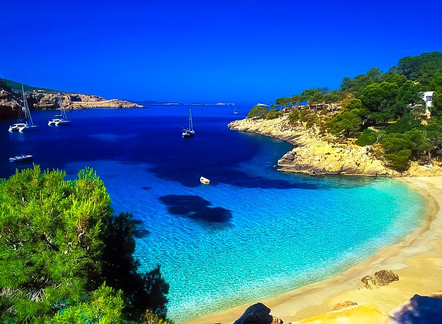 Loving World tweet media