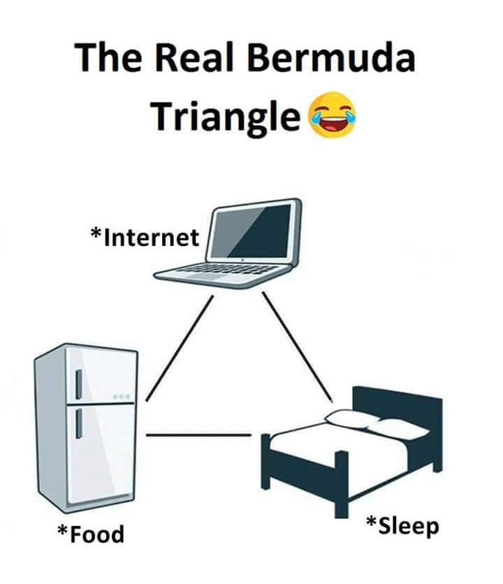 bluechip02's tweet photo. Bermuda triangle
#bluechipentertainment #funny #funnypics #Entertainment #entertainmentweekly #Entertainment_Weekly #fun #funfact #funkibaat #funkibaat100 #hilarious #Bermuda
https://t.co/mi8dRq3hby https://t.co/5ItzpJCS2Y