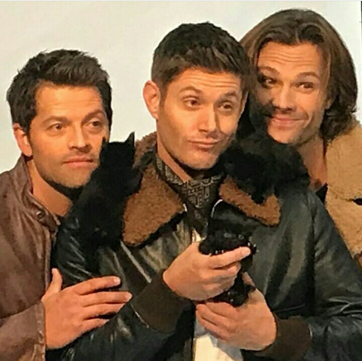 pulah_anu's tweet photo. On this last day of 2017...I look back &amp; see my whole year filled with nothing else more sweeter than the moments I spent with my #SPNfamily 😙💕Thank u soo much 4 being there 4 me &amp; 4 all those who don't demand a lot in life but a friendship they feel they belong 2.😊
💟u all😘 https://t.co/uZlNVuKG2x