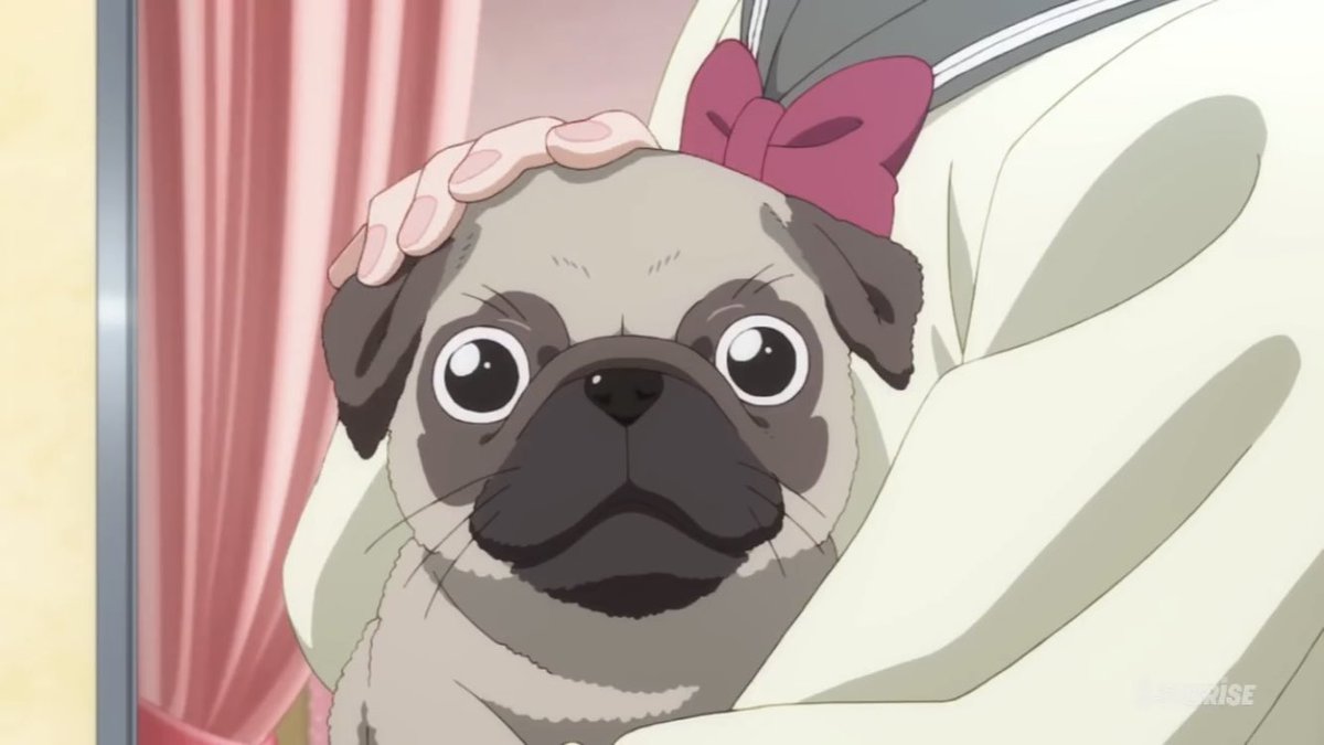 Kazuki 朱夏人 りこちゃんの犬の名前はプレリュード その意味は 前ぶれ 前兆 らしいです さて何のことを指しているのでしょう 皆さんの考察をコメでお待ちしております ラブライブ ラブライブサンシャイン 桜内梨子