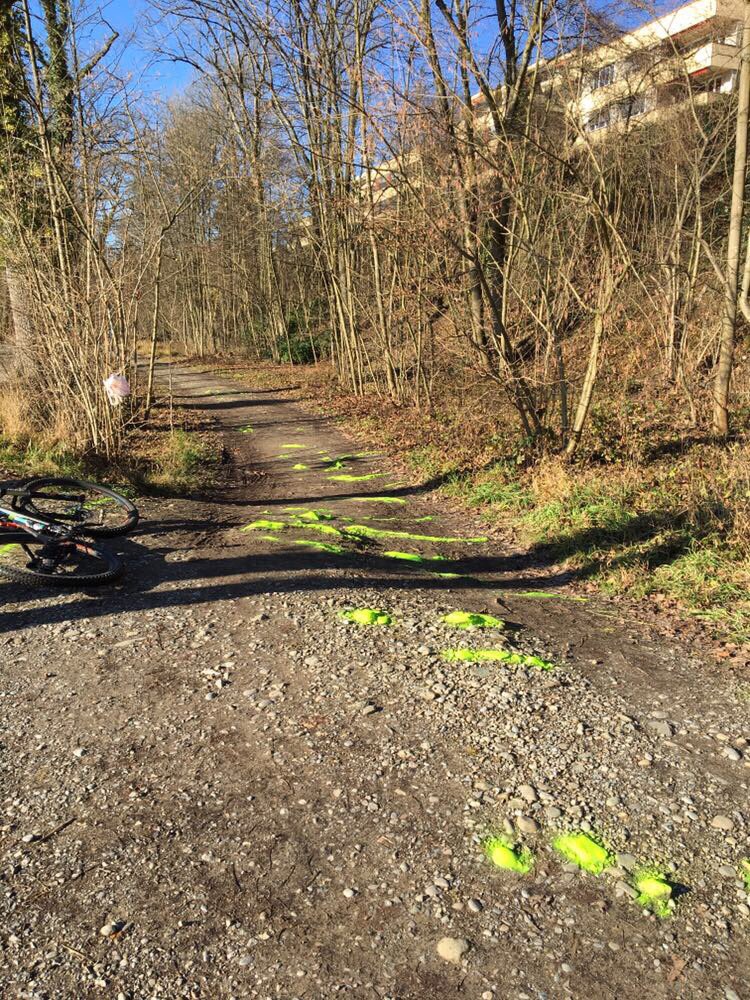 😎 Live von der Strecke