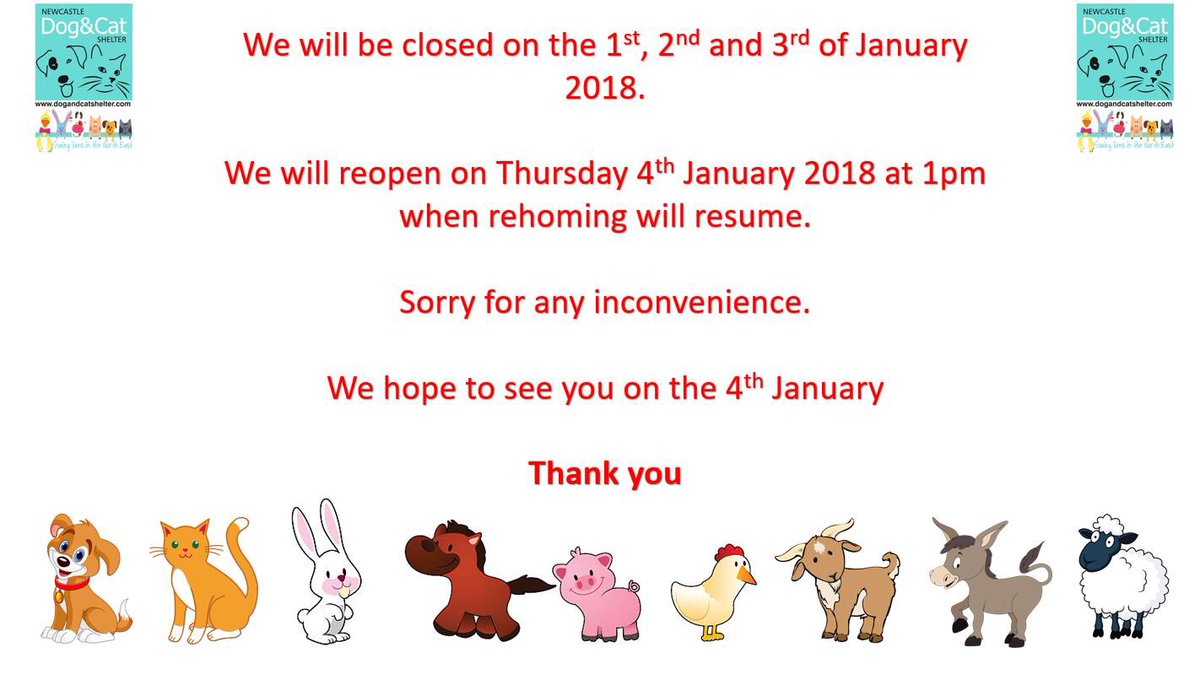 NCLDogCatSheltr's tweet photo. It’s the last day for visiting today until the 4th January 🐾 #adoptdontshop #AdoptDontBuy #rescue #rescuepets #rescueisbest #rescueanimals https://t.co/xLTTVM7t1l