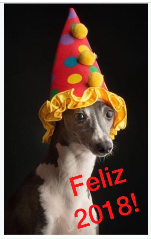 AmoresGalgosARG's tweet photo. En este ultimo día del 2017 deseamos #PirotecniaCero ! Felicidades a todos ! #EsteFinde @todonoticias DERECHOS PARA TODOS LOS ANIMALES ! https://t.co/gjyGq41aib