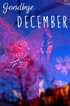 FischFloral's tweet photo. What will January have in store for us? https://t.co/gqrP1lhwSi