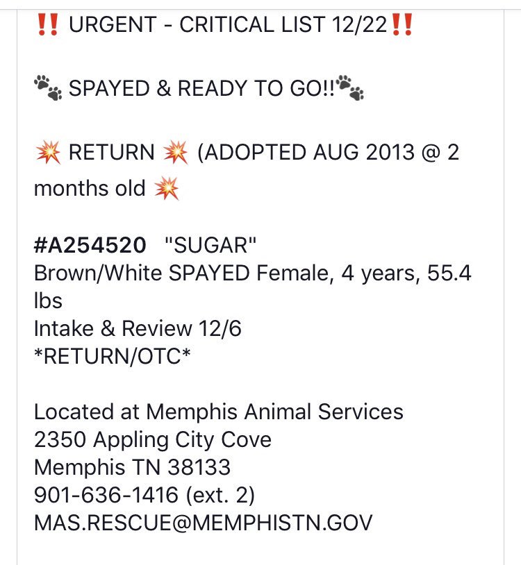 reddogsusie's tweet photo. #TN #MEMPHIS
🆘🆘CRITICAL Sugar 4yo Adopted as a puppy, her owner is very sick &amp; reluctantly had to surrender her. Both he &amp; Sugar are heartbroken💔Sweet girl needs understanding loving home now! Pls have a heart🙏🏻 #ADOPT #PLEDGE #RESCUE #FOSTER
https://t.co/Ha2wwXKMGa https://t.co/LTQWLHI7mF