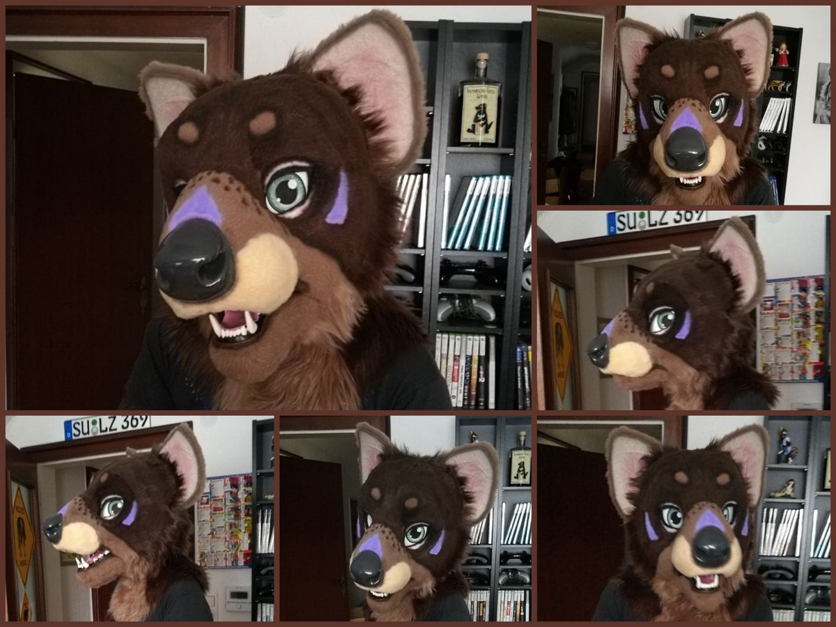 NeonFurStudios's tweet photo. She's finished \o/ or better... her head:
Sam, the tasmanian devil!
Fursona from @Windmelodie and mostly built by her.
(better pictures will follow, when she's completely finished (bodysuit etc.))
#NFSFamily #NFSNews #NFSNewbie #fursuitbuilding #tasmaniandevil #StudioSunday https://t.co/o4TKhkBOJy