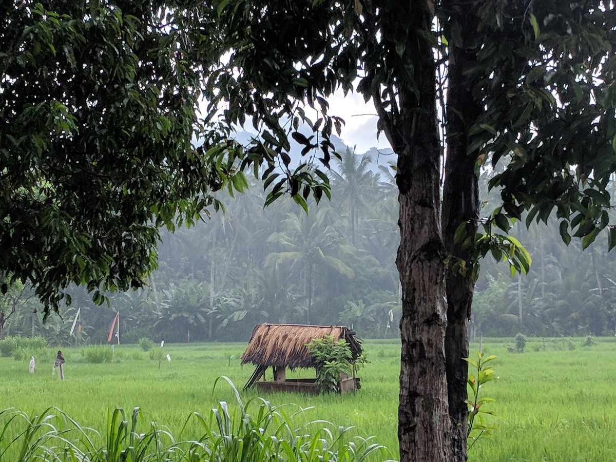 evanrapoport's tweet photo. Spent the day near #MountAgung active volcano in Bali. It is perfectly safe. #ComeToBali it is beautiful and people here need tourism. https://t.co/gC9C15aLIs