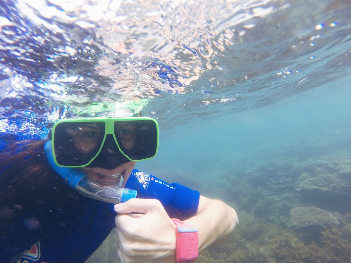 SunzeeLife's tweet photo. Happy New Year to all our #sunzee family and friends! Lets make this new years goal better than ever with sunzee's organic and reef friendly on the go sunscreen! 
https://t.co/BNSZ00HPjh https://t.co/lsLLcDgujb