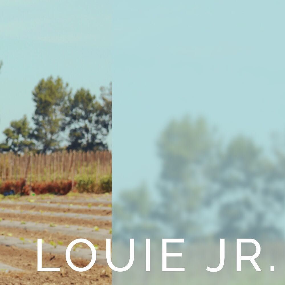 Brew_LP's tweet photo. Happy New Year to All 🎉🎉 2018 is a guaranteed big year for us! There are so many great things coming, and here’s one of them! 
A new BrewLP track by @louiejr_rm is debuting everywhere January 5th, 2018! The New Year is looking 🔥
#music #audio #newmus… https://t.co/88Xd8eHj6c https://t.co/ZxX3i59eux