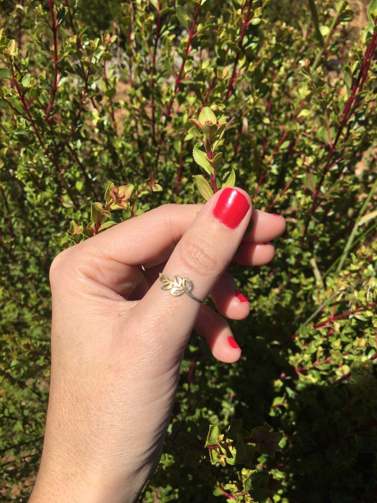 We were invited by <a href="/BuchuLife/">BuchuLife</a> to learn more about South Africa’s homegrown ‘miracle herb’ and stayed over at the incredible <a href="/BushmansKloof/">Bushmans Kloof</a>  Wilderness Reserve &amp; Wellness Retreat. Here's what we discovered: bit.ly/2Bk9L6T