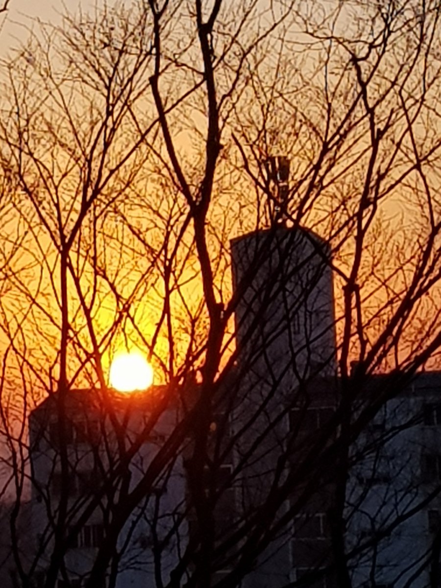 2017년
붉은해는
넘어갔다
화려하게
한쪽하늘을
물들이고 ㅡ
2017.12.31.
오후5시21분
뿍한산자락에서