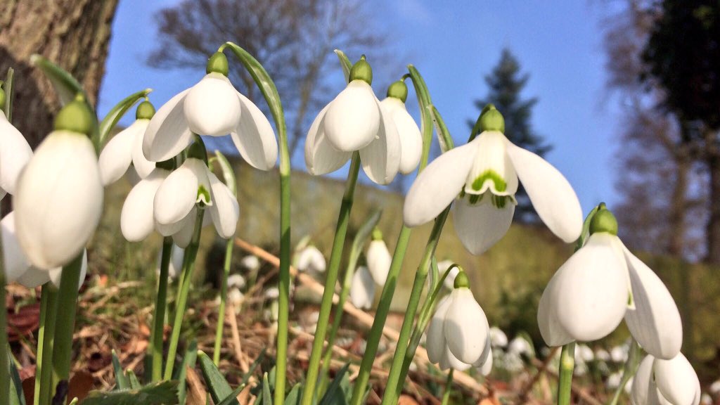 CatherineEsse's tweet photo. In a series of year’s-end tweets,  I’m picking a local photo for each month of 2017; first up (obvs 😉) Jan-Apr.. do hope you enjoy.. happy #NewYearsEve! 😊 💕🌷🌄⛪️🦋✨  @HARTResearch @caitlinrgreen @LincsSkies @Dr_HLO @suzawelch https://t.co/bTXzi0JuSQ