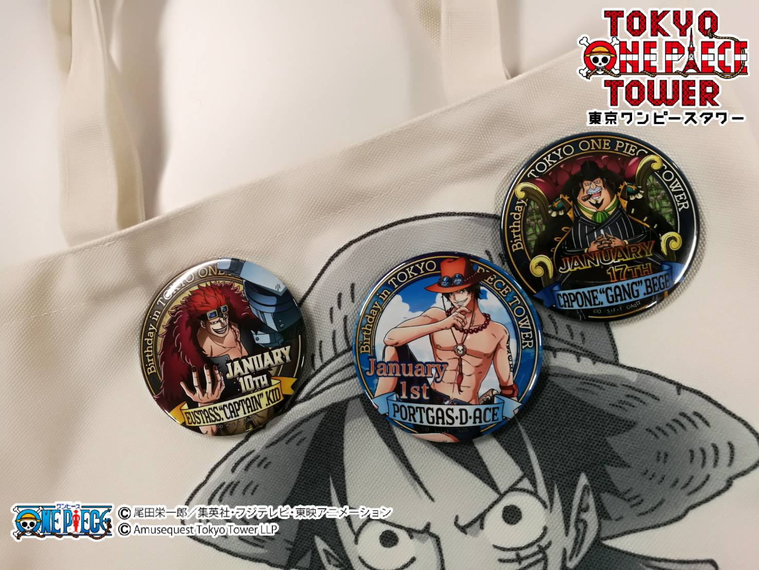 ONE PIECE 東京ワンピースタワー バースデー缶バッジ ロビン
