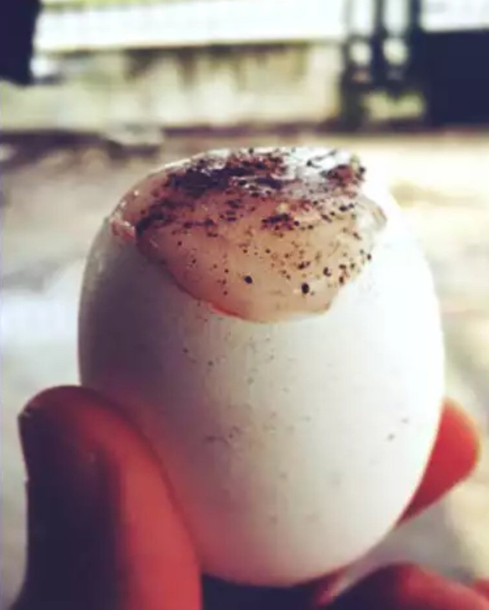 timvinchon's tweet photo. Conseil #Consommez619 🇹🇳 pour éviter la gueule de bois du 1er janvier 🎉🍾🍷🍺
Oubliez l'aspirine. 💊
Prenez une demi-douzaine de #mraweb avant de dormir. 🥚🥚🥚🥚🥚🥚 https://t.co/jItts1eQlR