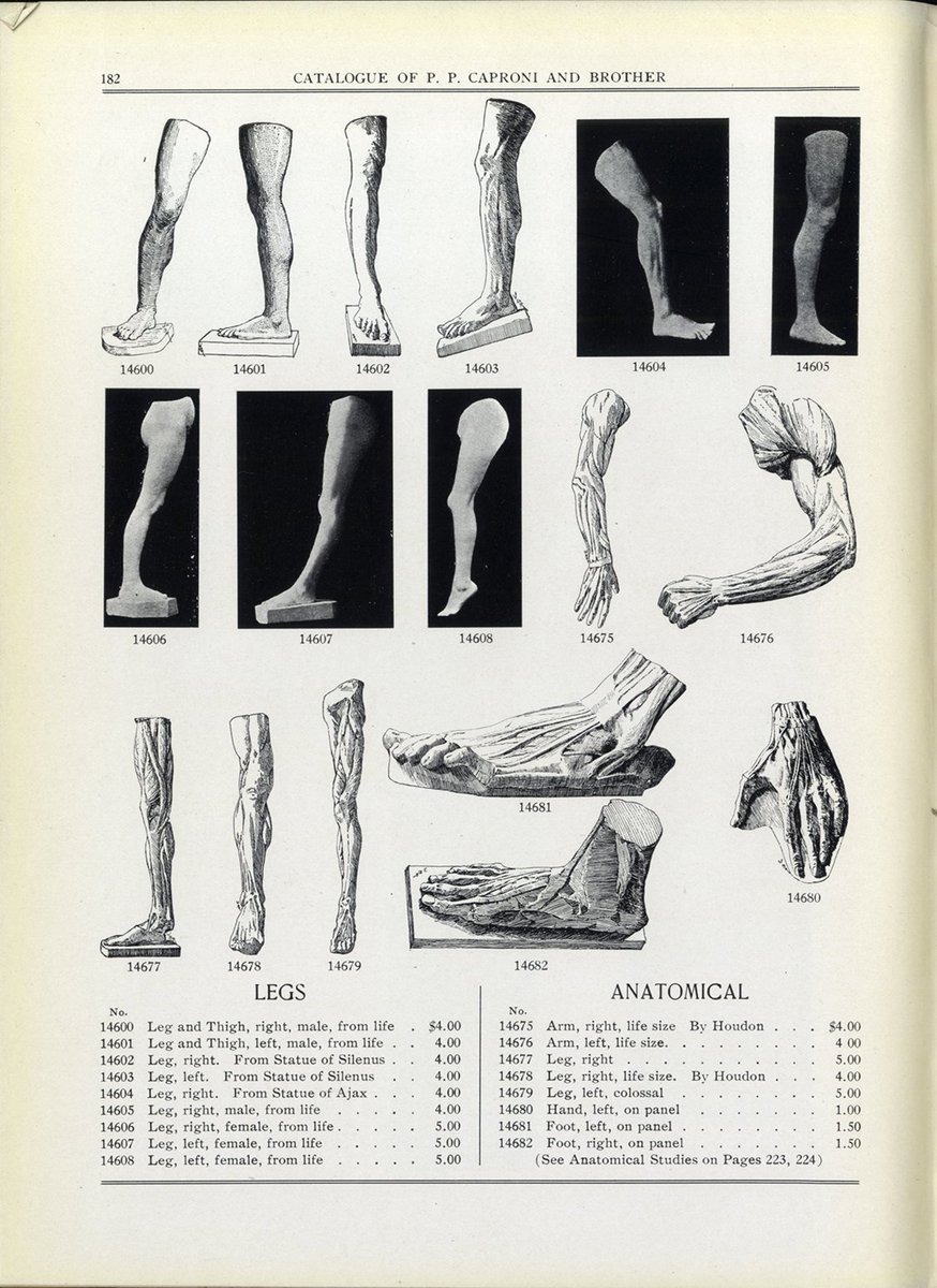 カプローニ社(現:ジスト・ギャラリー)のカタログより、解剖模型その3。#美術解剖学 