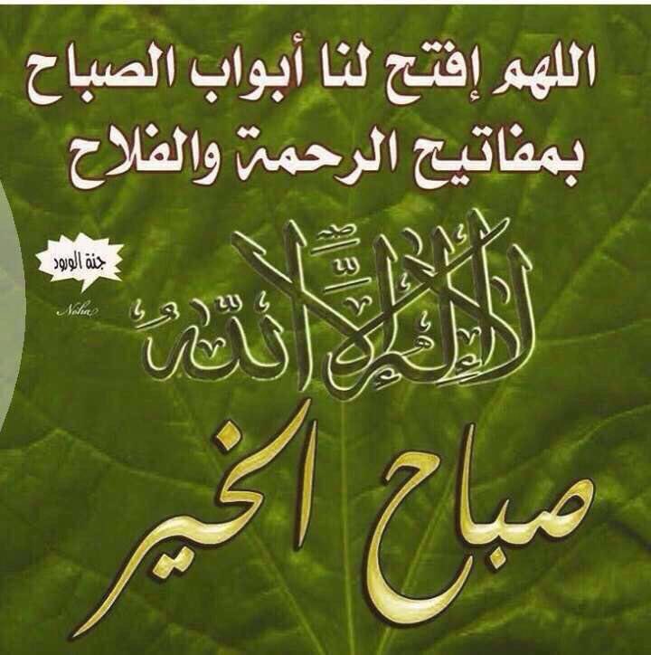 cham_flowers's tweet photo. #شام_فلورز https://t.co/9os3dCd9Py