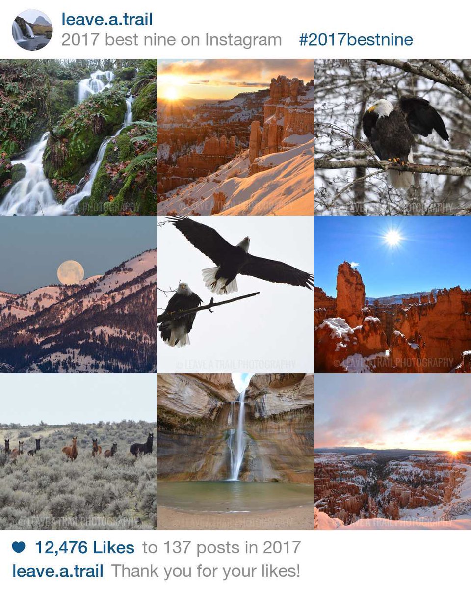 Leaveatrailpics's tweet photo. #2017bestnine "liked" by you! We couldn't have asked for a more incredible year. Thanks for supporting Leave A Trail Photography by sharing our joy and passion for nature. May all your 2018 adventures be in the great outdoors with loved ones! Carpe Diem! #optoutside #2017roundup https://t.co/e6MKM2qSFP