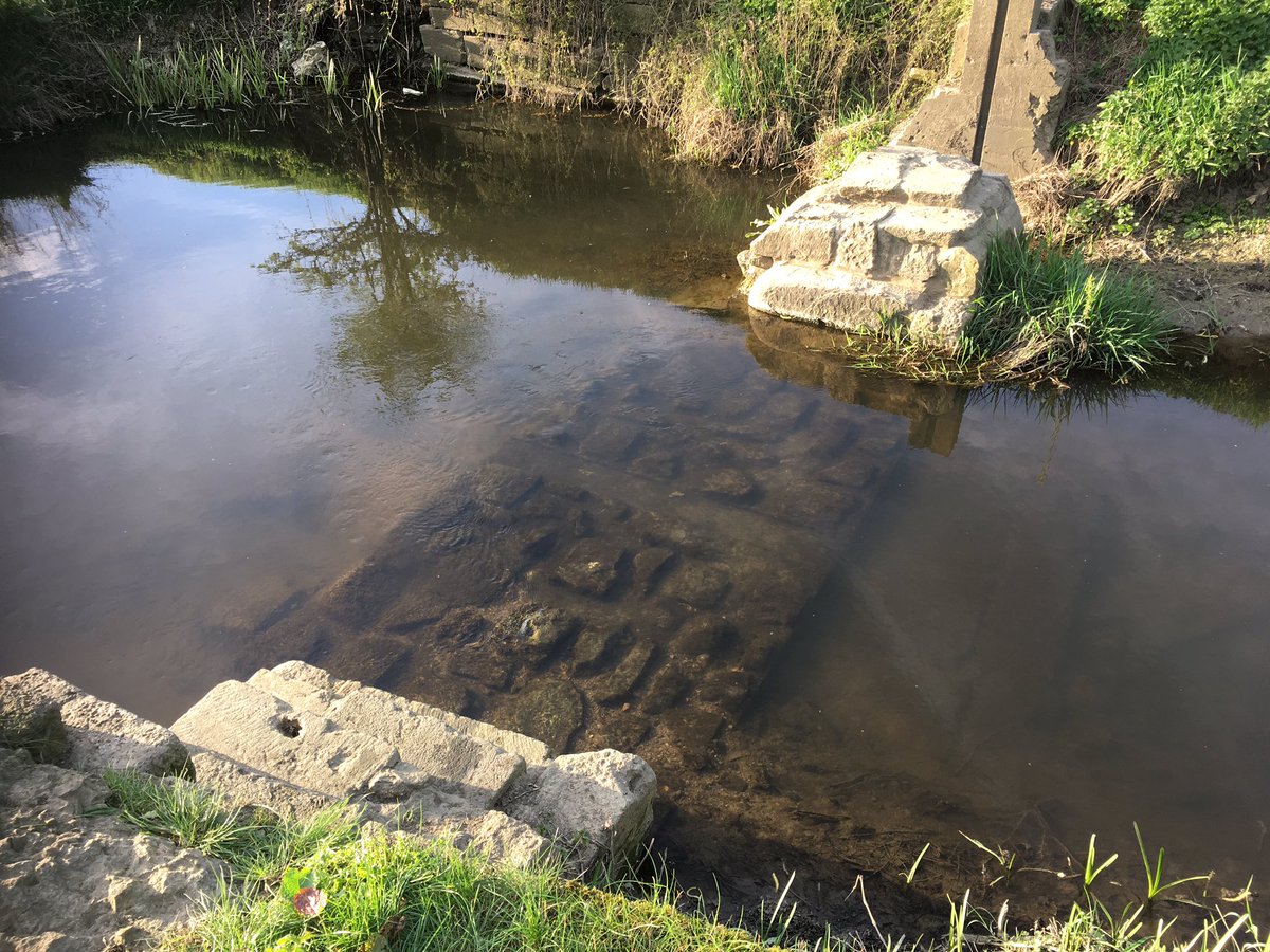 ChrisBaingerEA's tweet photo. One of our #SpawningWatch followers sent this picture of a spent #salmon from the #Swilgate in #Tewkesbury The fish was above the #barriertomigration we reduced https://t.co/1DPFvditvO
