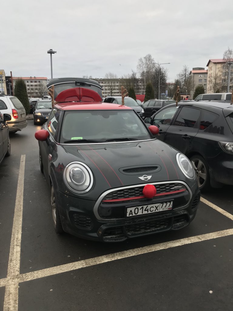 cellovek_r's tweet image. Мини – северный олень #лкш @green_red_jcw