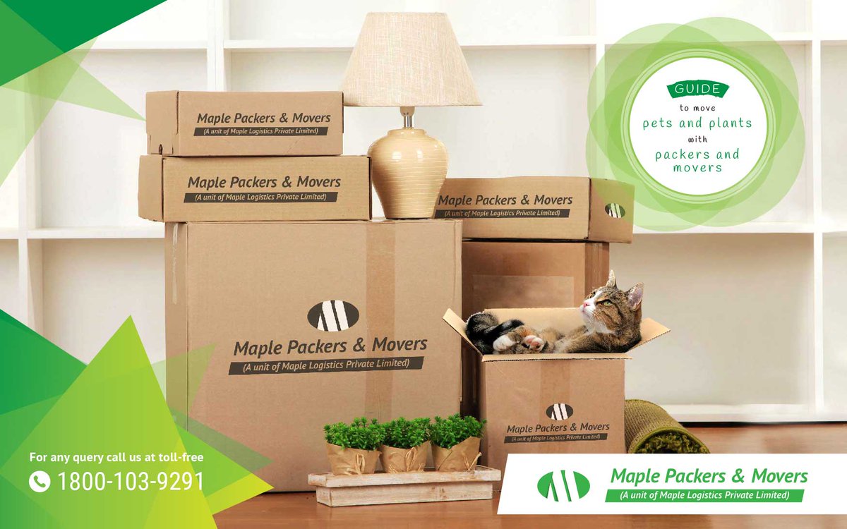 MaplePackers's tweet image. Your plants and pets are much more than what they are! One gives you fresh air and the other reasons to smile when sad. And you definitely cannot leave them for any reason. Maple makes this happen without trouble.  bit.ly/2tjT5YG
#MaplePackersandMovers
#PlantRelocation
