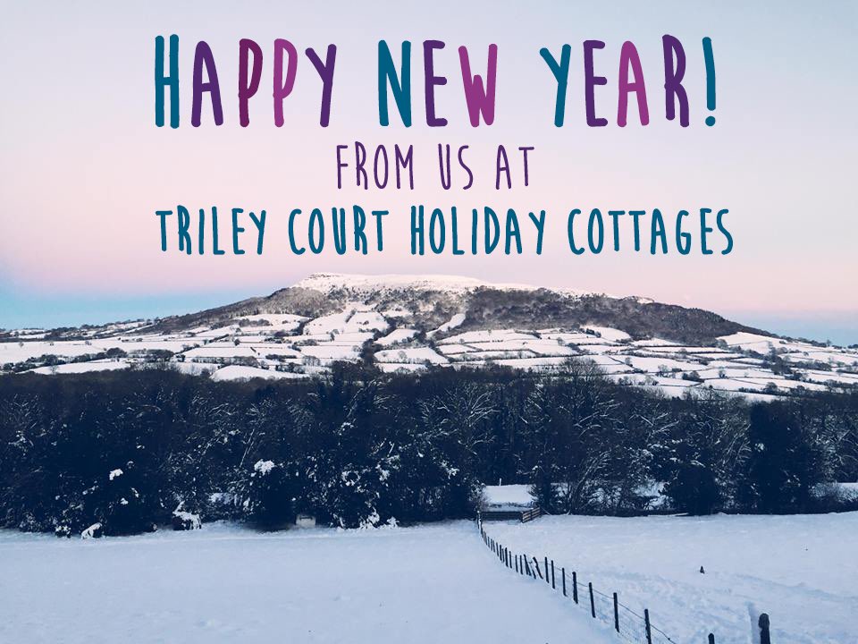 Happy New Year to all of our lovely guests! We look forward to seeing you in 2018! #Welcome2018