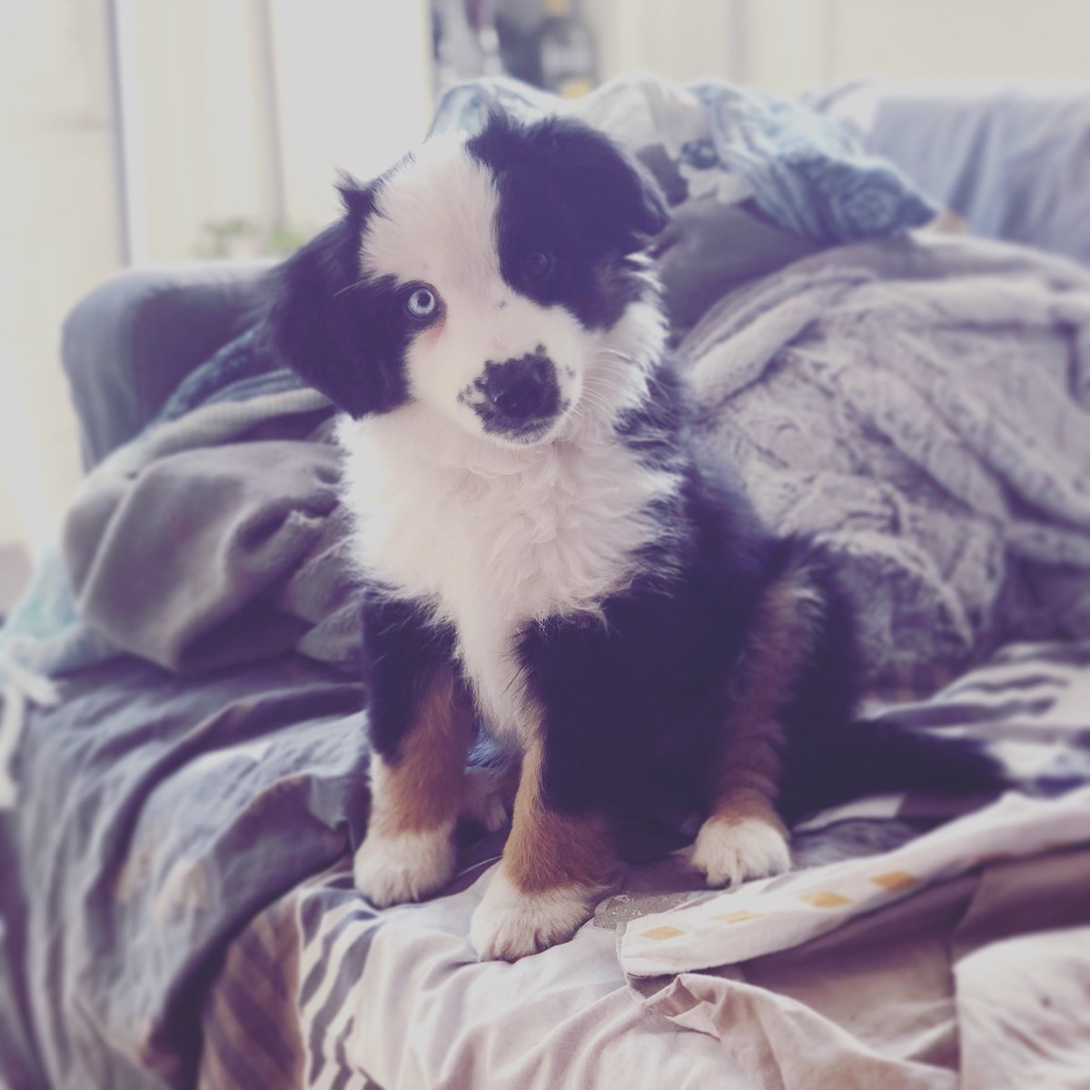 Devovo Fan At Devovofan55 Twitter