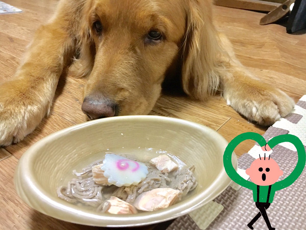 tamago_321's tweet photo. 年越し蕎麦〜〜🐶 https://t.co/azJGWKOgQx