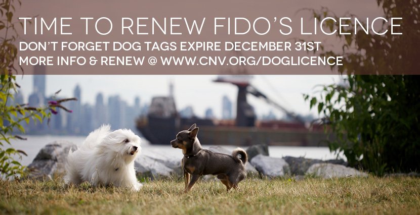 D’oh! 2018 Dog Licences are due today! No worries, just renew online: cnv.org/DogLicence #NorthVan https://t.co/FqtqS7mAx9
