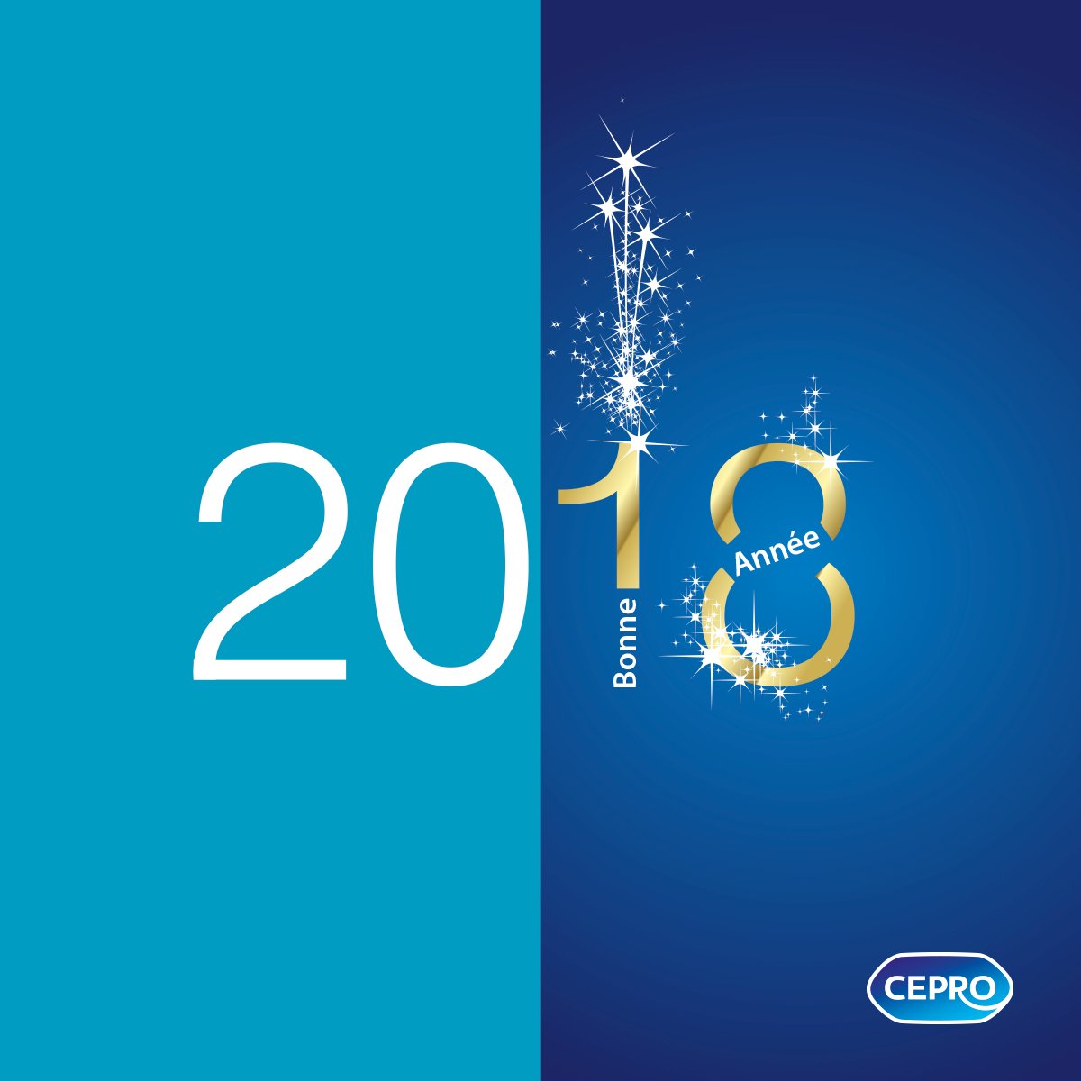 CeproDZ's tweet photo. @CeproDZ  vous souhaite une bonne année #2018 https://t.co/tDrrC6Dahd
