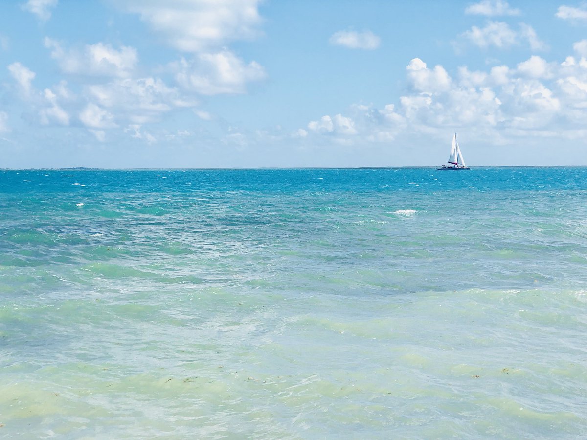 Lisa Sperow tweet media