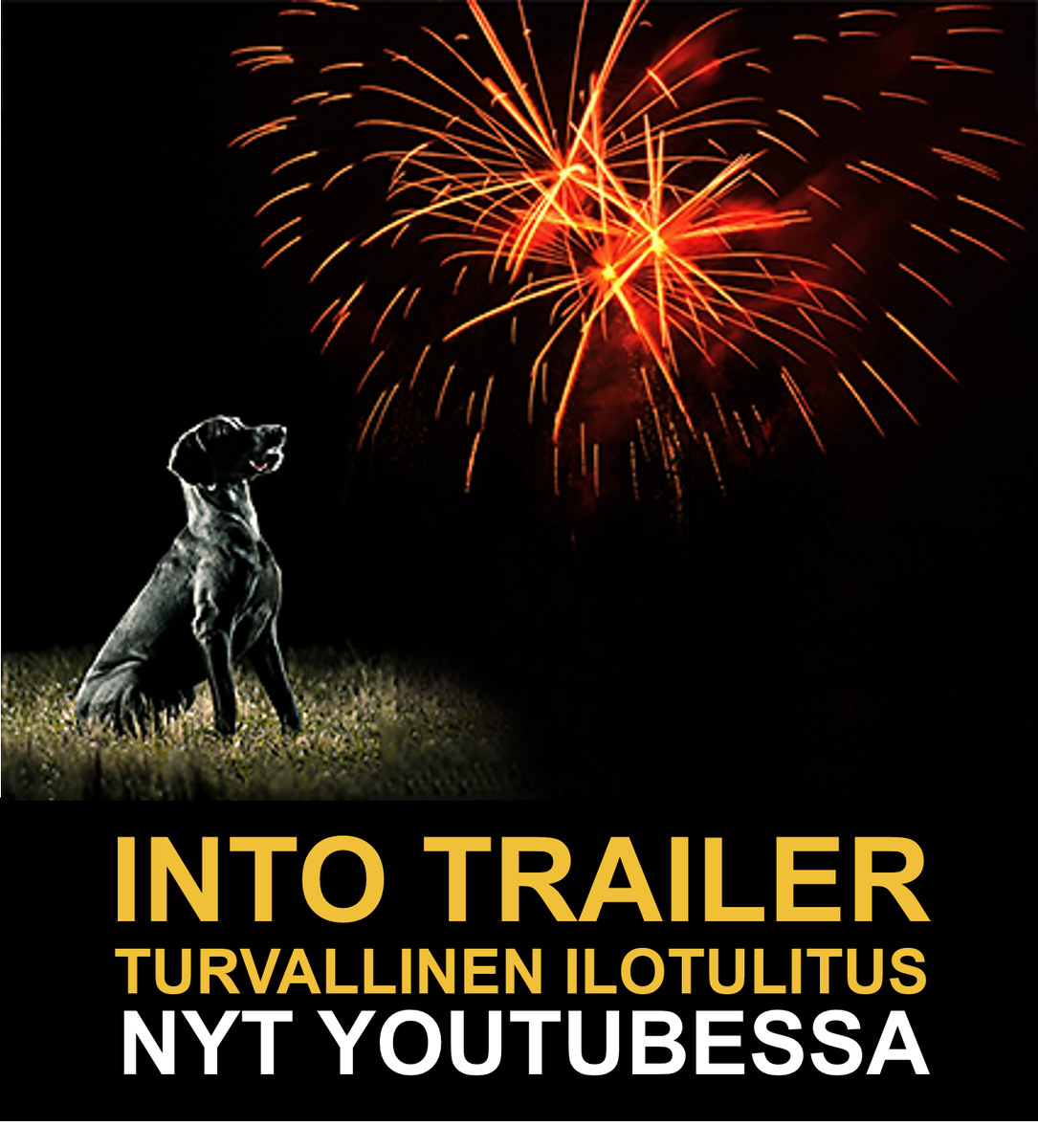 Into_the_band's tweet photo. Mahtavan energistä uutta vuotta! Happy new year! Into trailer now available! https://t.co/iO33bhxPKS Cheers! https://t.co/wxf2ykt3ag