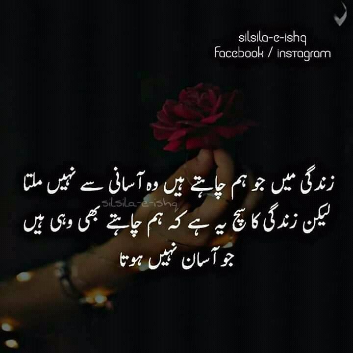 sumreen1122's tweet image. 